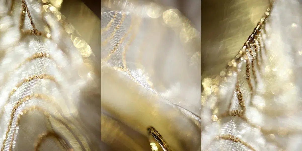 Glimmer, by Nicole Katano-PurePhoto