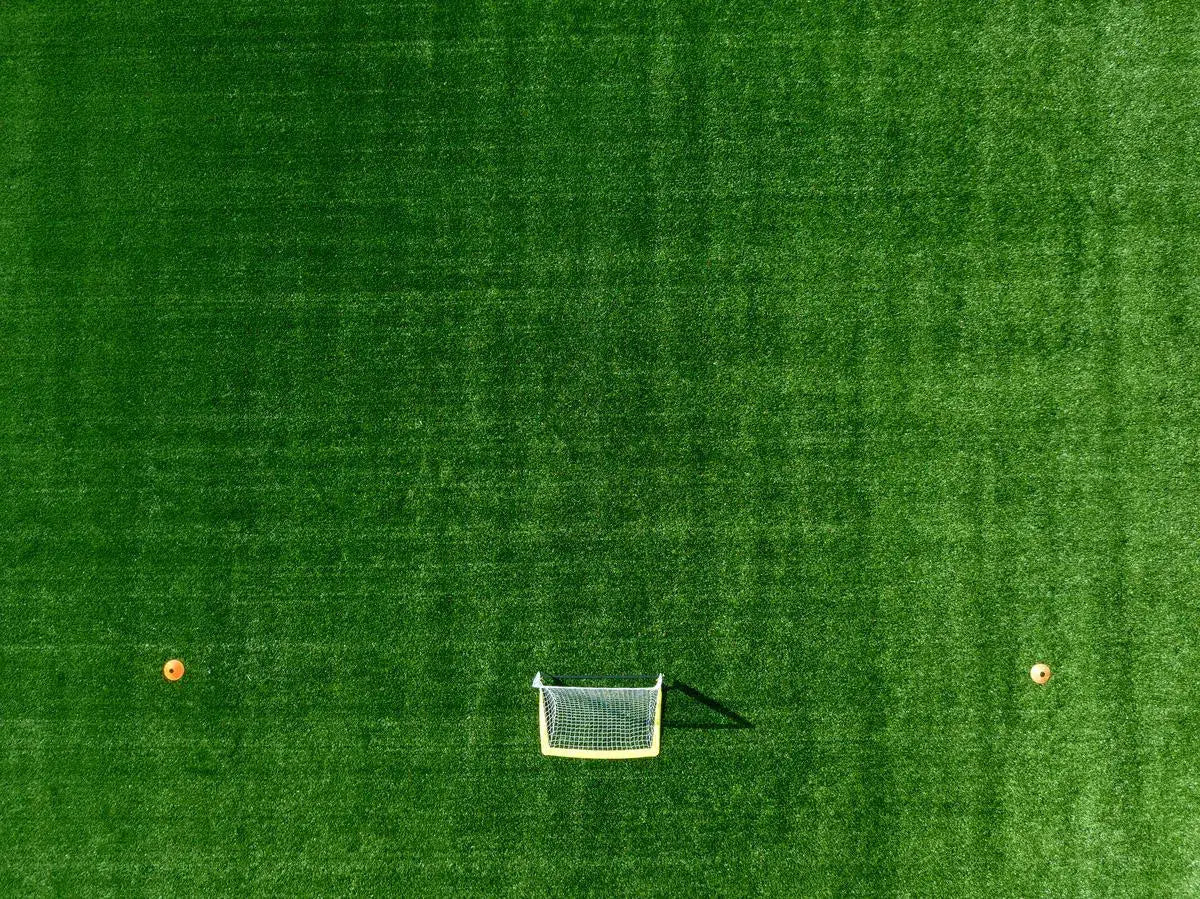 Goals, by Joel Lavold-PurePhoto