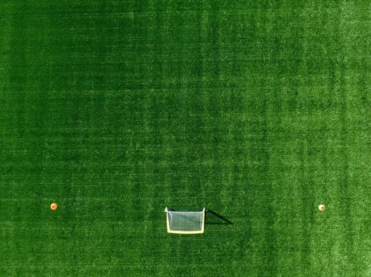 Goals, by Joel Lavold-PurePhoto