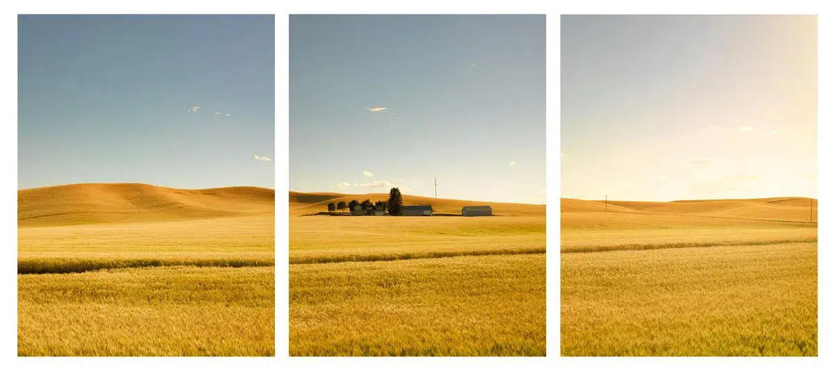 Golden Castle Triptych, by Dale Hedden-PurePhoto