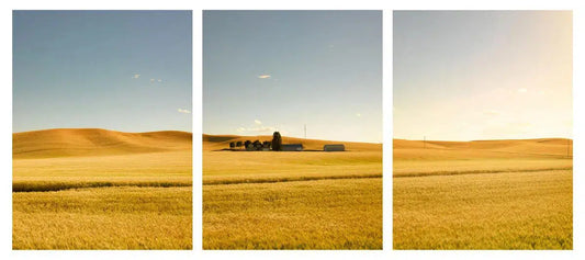 Golden Castle Triptych, by Dale Hedden-PurePhoto
