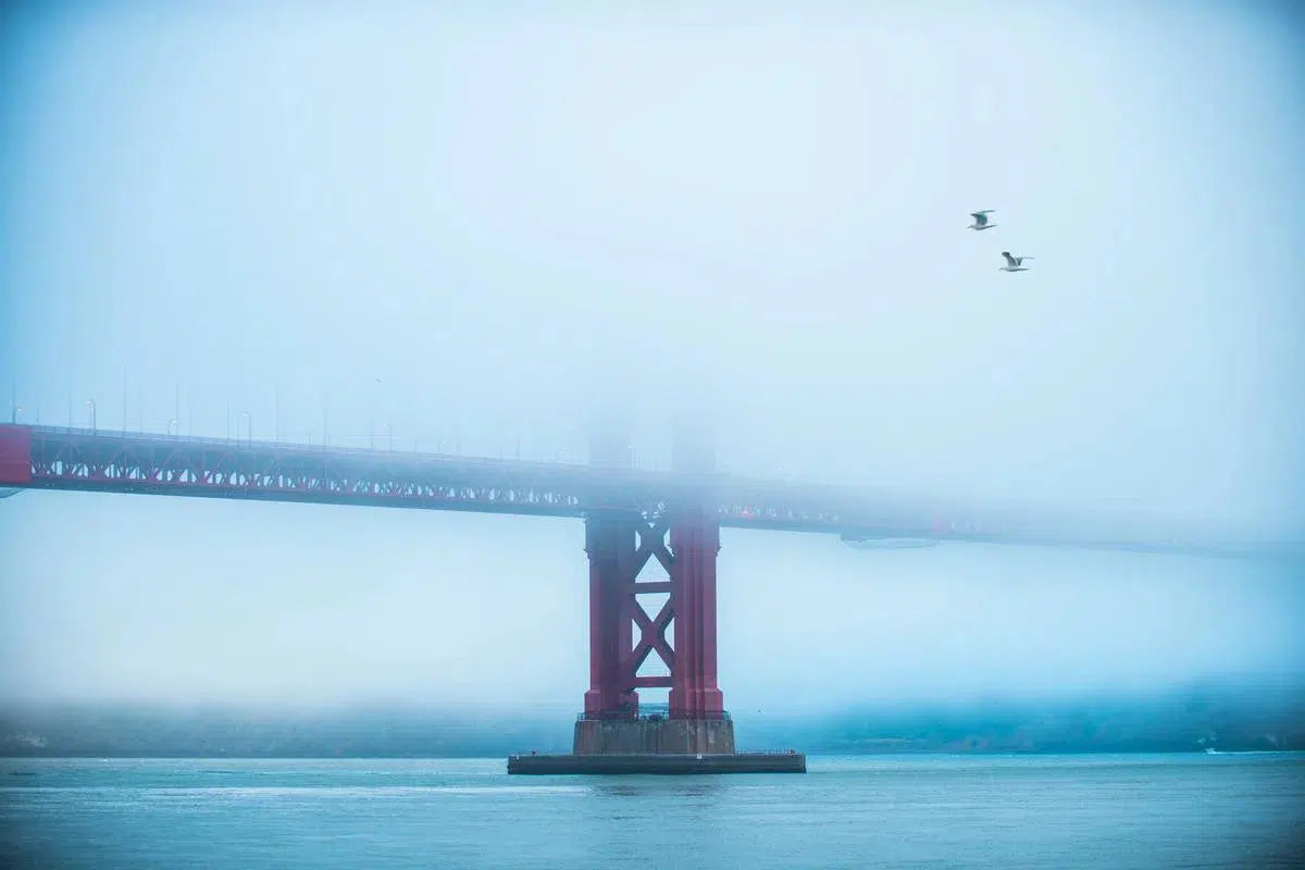 Golden Gate III, by Garret Suhrie-PurePhoto
