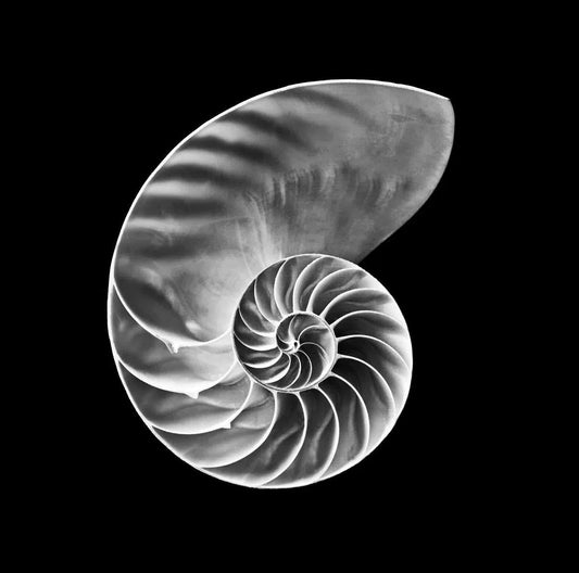 Golden Mean, by Pablo Luna-PurePhoto