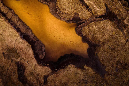 Golden Ponds II – Baltic Sea, by Jan Erik Waider-PurePhoto