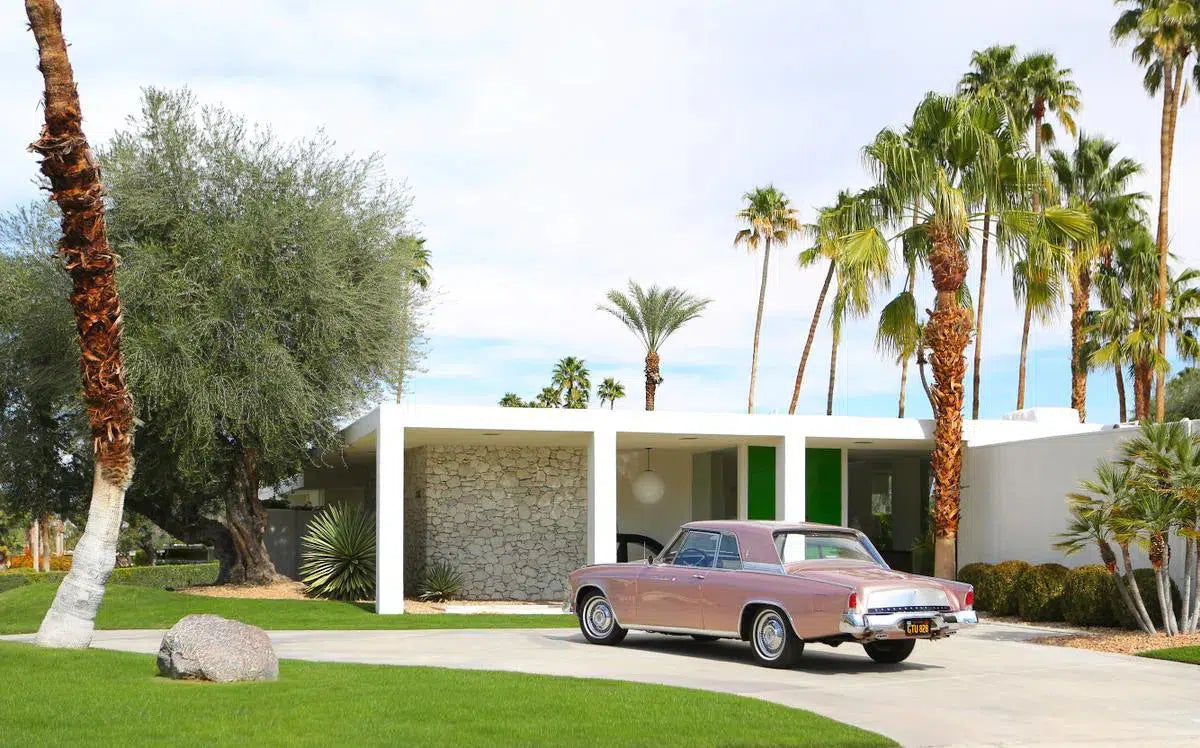 Gran Turismo and Palms, by Kelly & Fred-PurePhoto