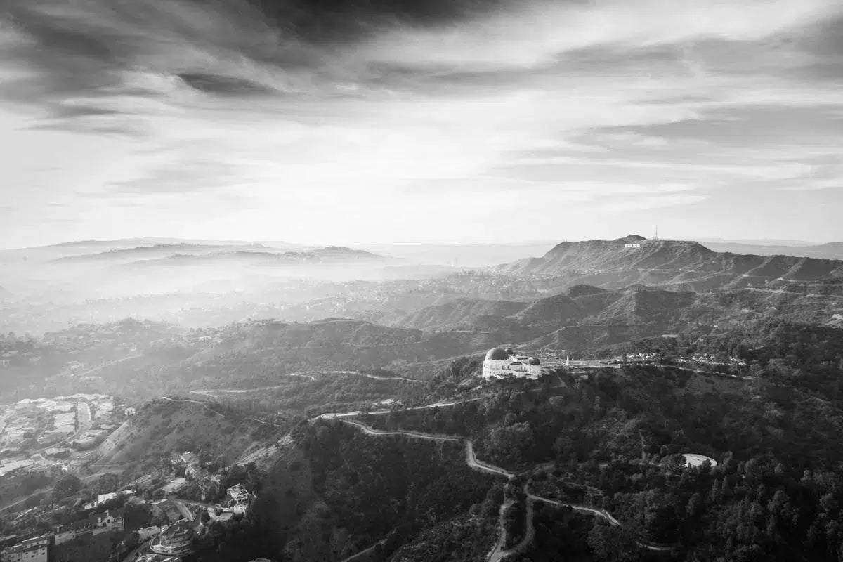 Griffith, by Mike Kelley-PurePhoto