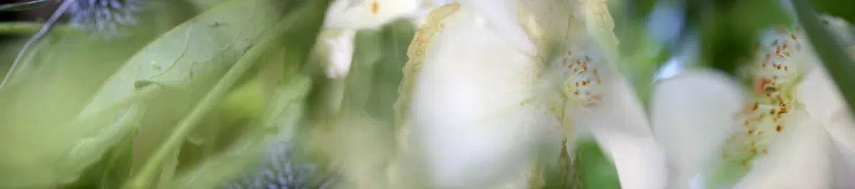 HIDE & SEEK, by Nicole Katano-PurePhoto