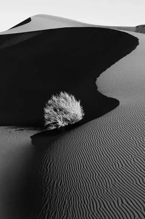 Haven, by Drew Doggett-PurePhoto