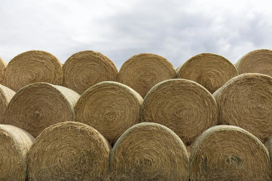 Hay Bales #1, by Paul Edmondson-PurePhoto