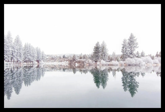 Hoar Frost VI, Framed-PurePhoto