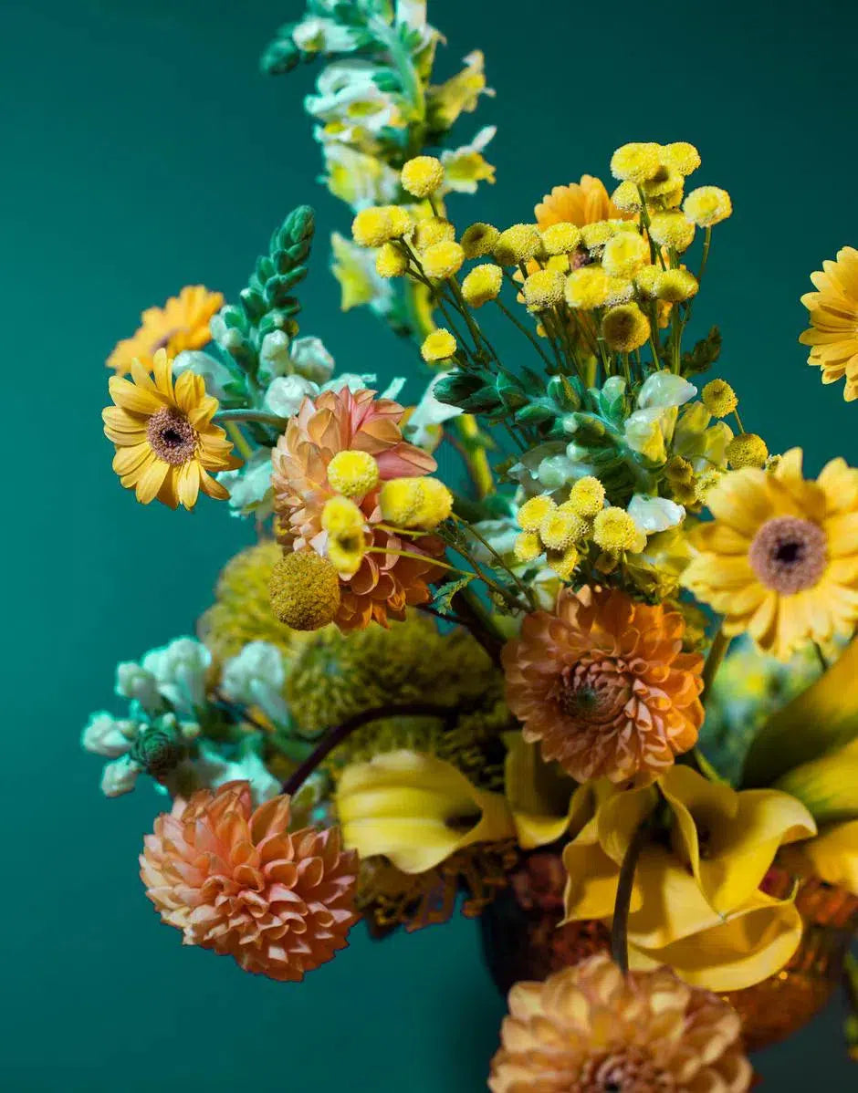 Holding It Together, by Javiera Estrada-PurePhoto