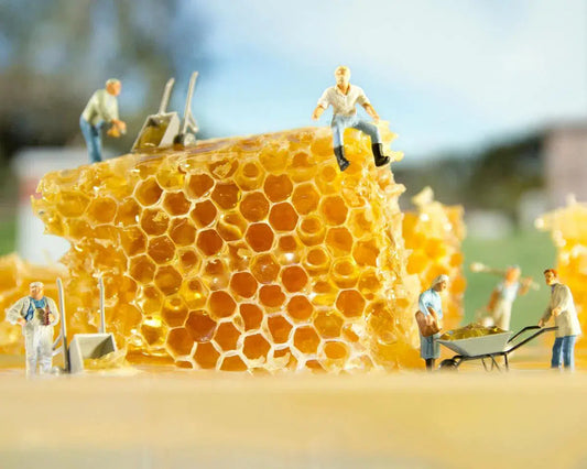 Honeycomb, by Matthew Carden-PurePhoto