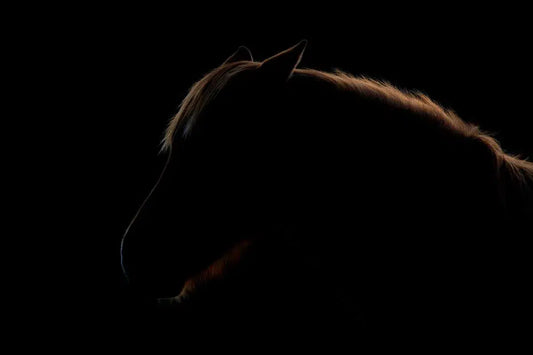 Horse Silo, by Michael Duva-PurePhoto