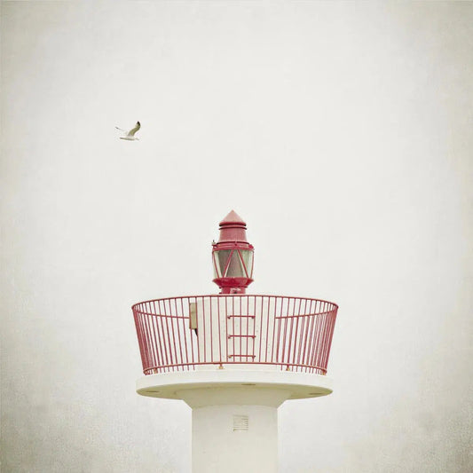 Howth Beacon, by Maggy Morrissey-PurePhoto