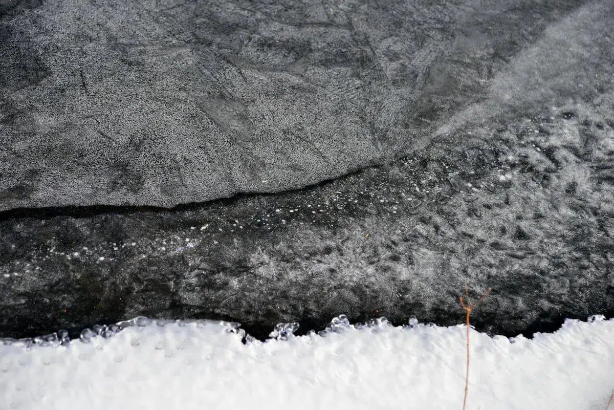 Ice 3, by Francesca Ritchey-PurePhoto