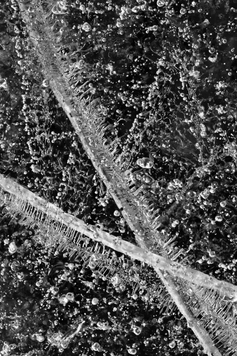 Ice #6, by Mats Gustafsson-PurePhoto