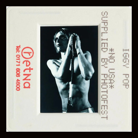 Iggy Pop - Slide 1, from The Wild Ones collection-PurePhoto