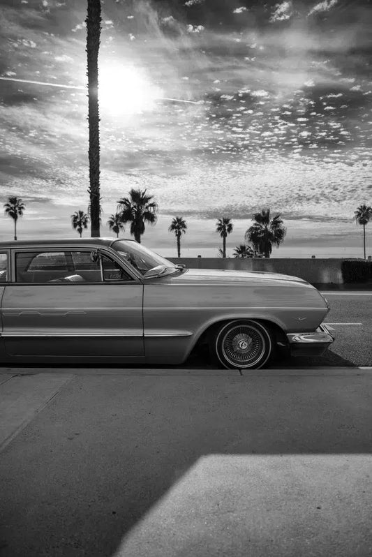 Impala California, by Jens Ochlich-PurePhoto