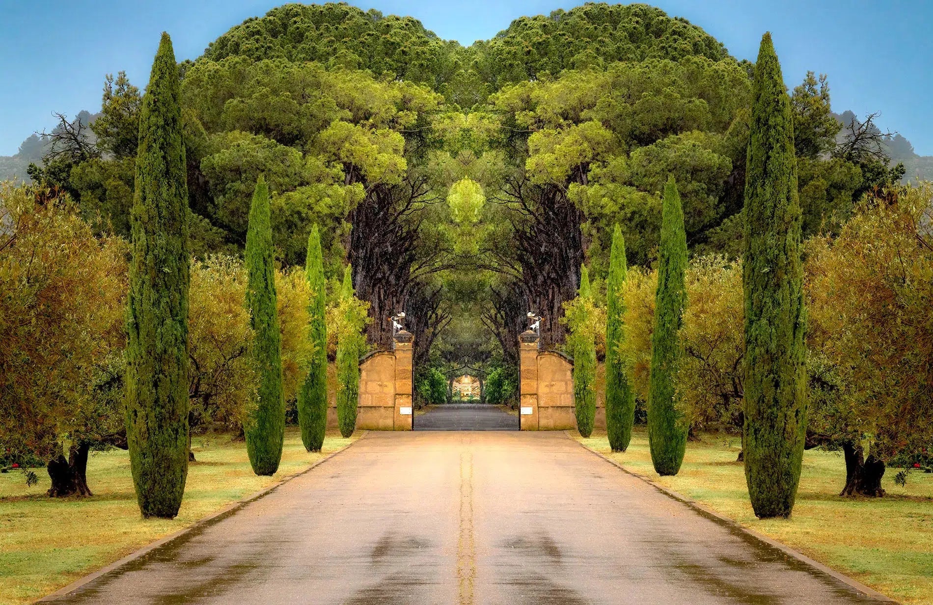 In Provence 1⁩, by Dario Preger-PurePhoto