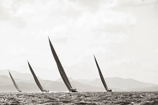 In Sync - Sepia, by Drew Doggett-PurePhoto