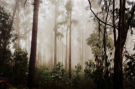 In the Green, by Simon Reif-PurePhoto