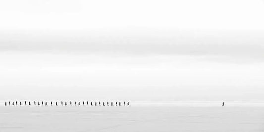 Independent, by Ari Salmela-PurePhoto