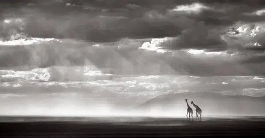 Infinite, by Drew Doggett-PurePhoto