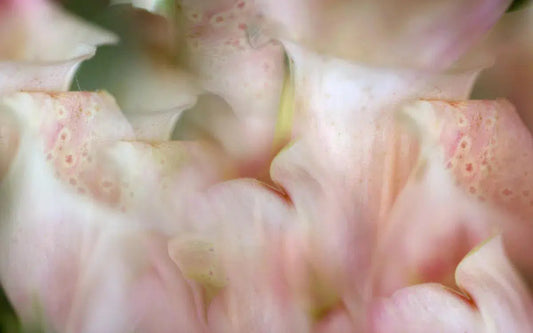 Inside Out, by Nicole Katano-PurePhoto