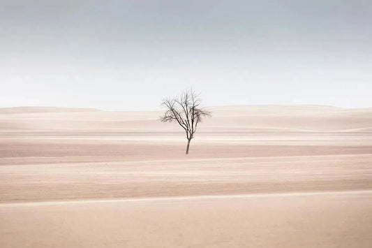 Intimate, by Anthony Lamb-PurePhoto