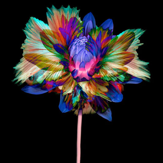 Kaleidescope 15, by Michael Filonow-PurePhoto