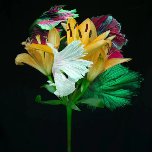 Kaleidoscope 8, by Michael Filonow-PurePhoto