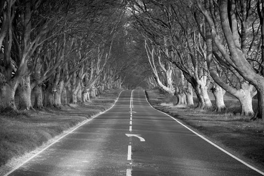 Keep left, by Mark J P-PurePhoto
