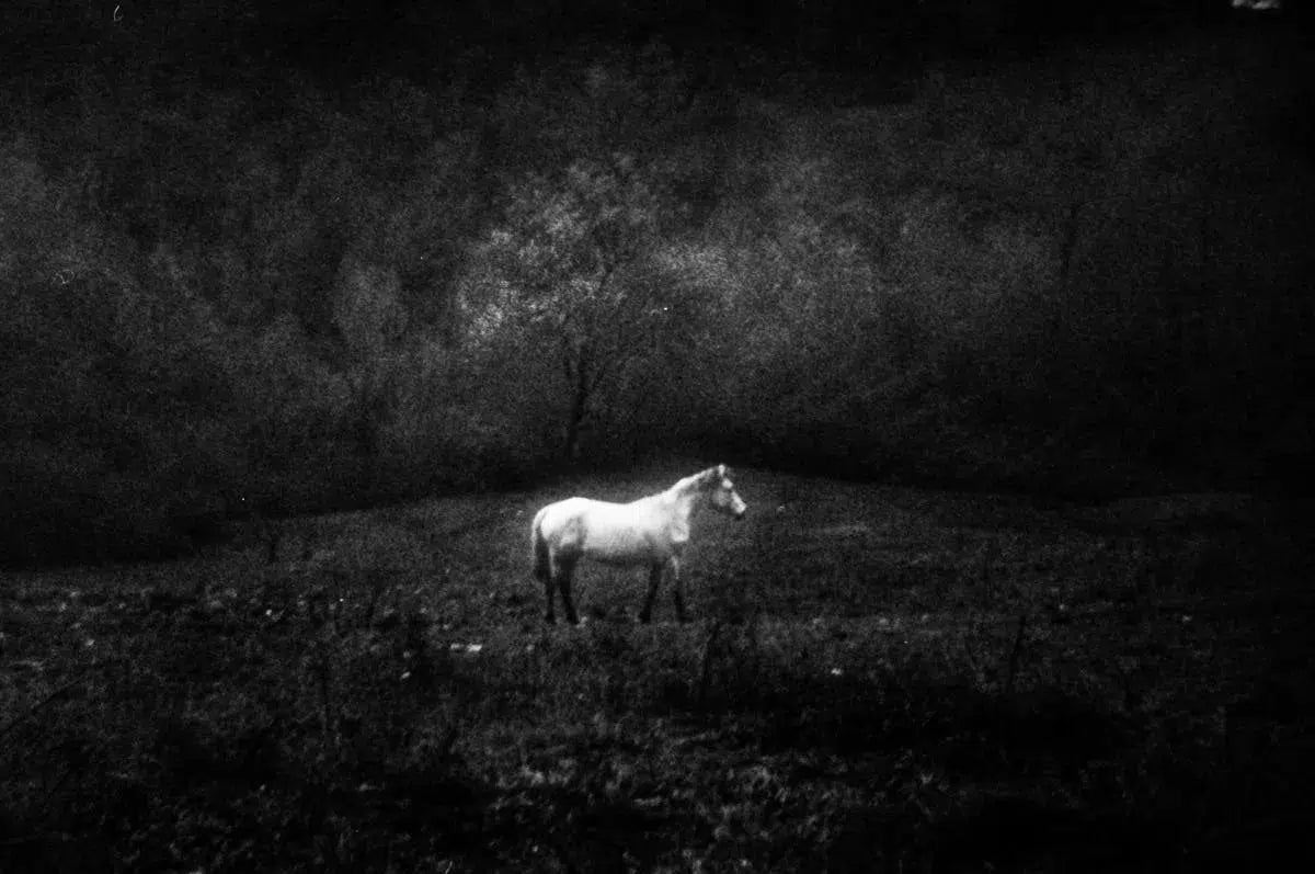 LaLoo #1, by Andrea Buzzichelli-PurePhoto