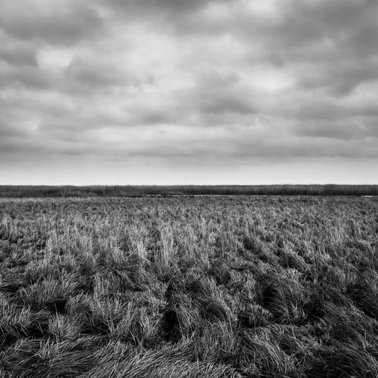 Lake Taakern 1, by Mats Gustafsson-PurePhoto