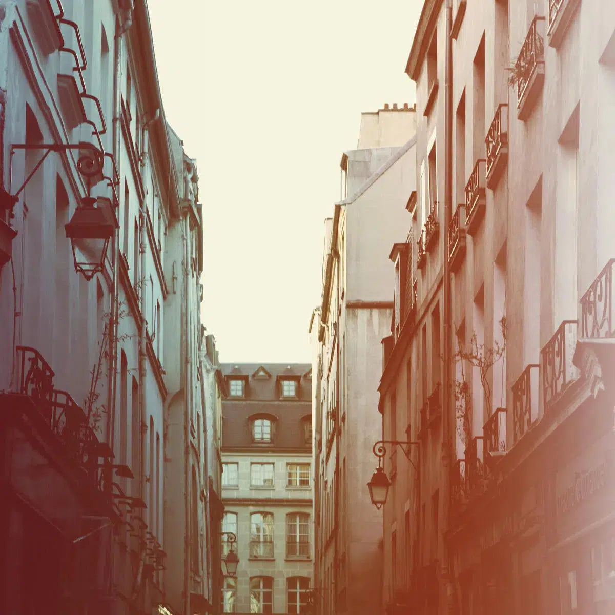 Lamplight, by Alicia Bock-PurePhoto