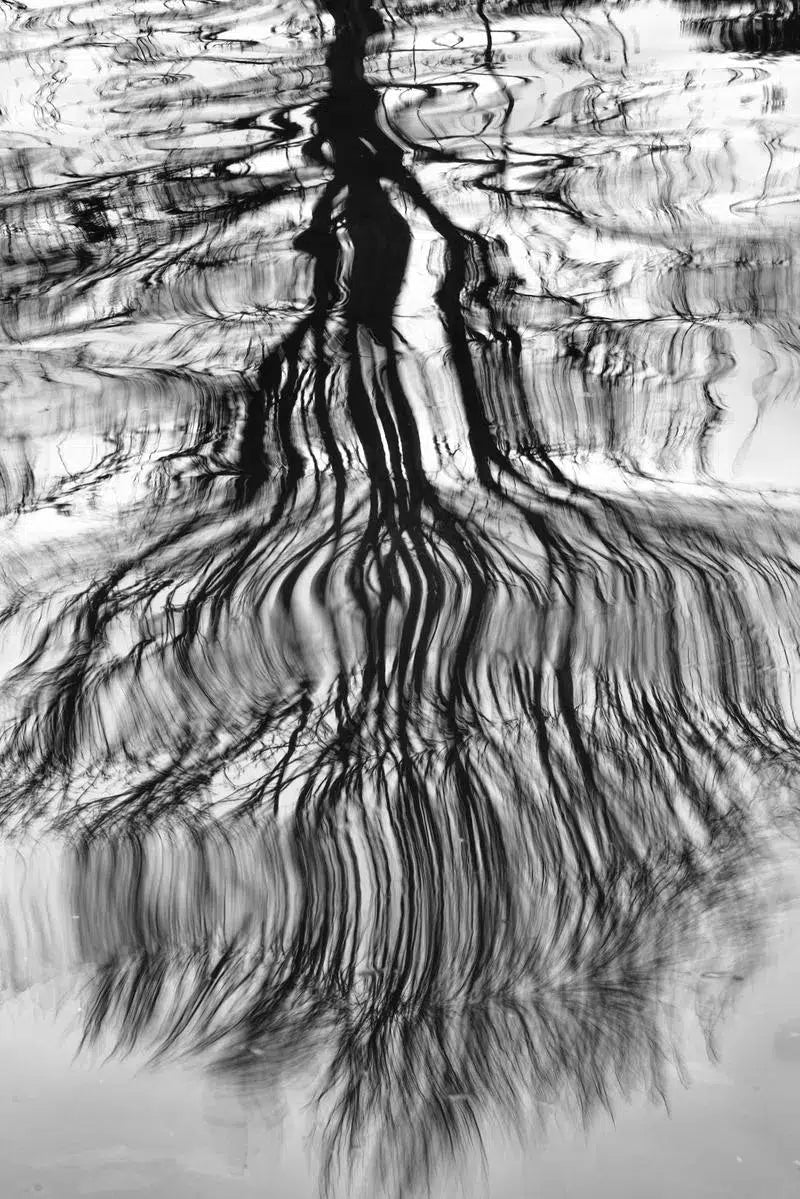 Lapworth Reflections Triptych 2, by Alan Ranger-PurePhoto