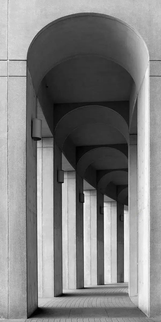 Library, by Gillian Lindsay-PurePhoto