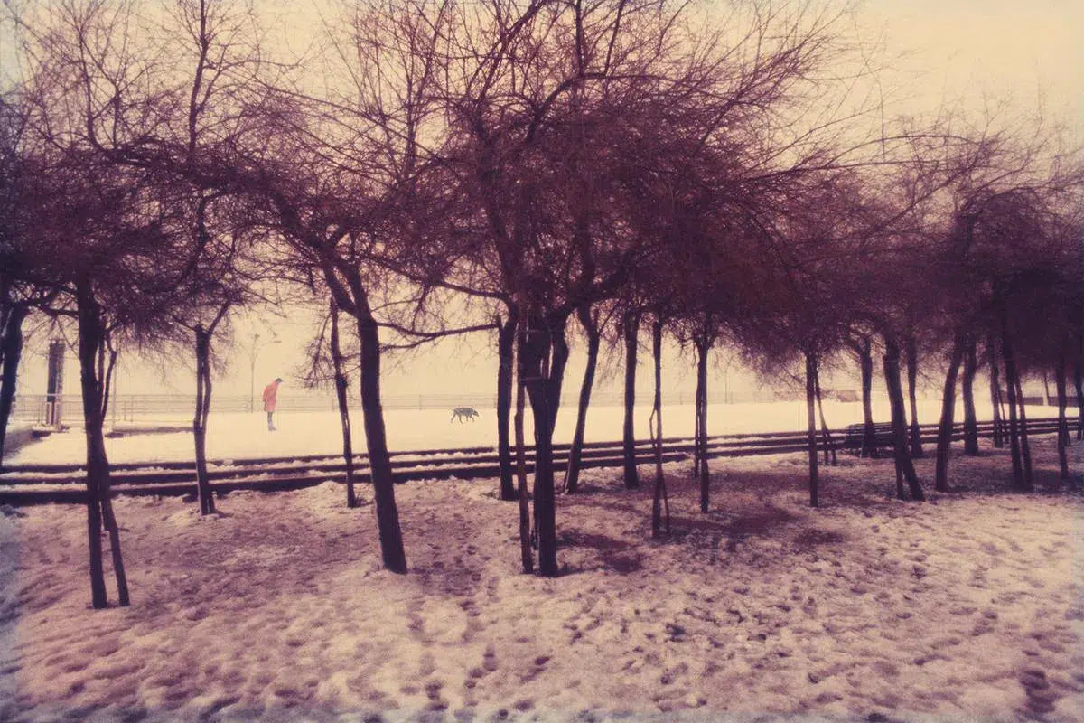 Lido, by Ivo Von Renner-PurePhoto