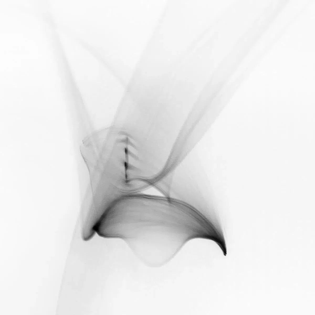 Light Imitating Art® :: Allegro, by Gillian Lindsay-PurePhoto