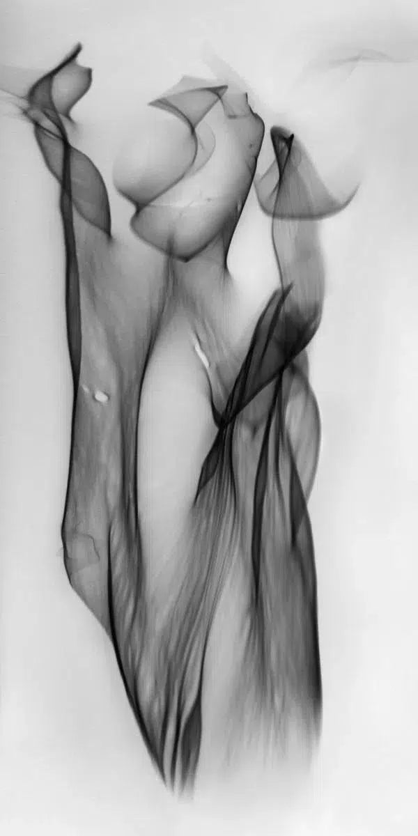 Light Imitating Art® :: Eve, by Gillian Lindsay-PurePhoto