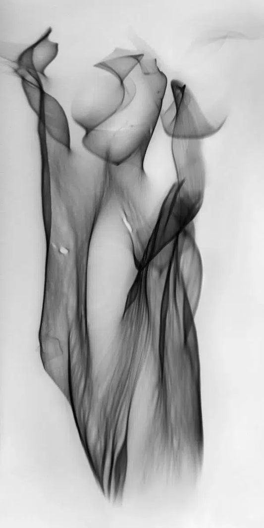 Light Imitating Art® :: Eve, by Gillian Lindsay-PurePhoto