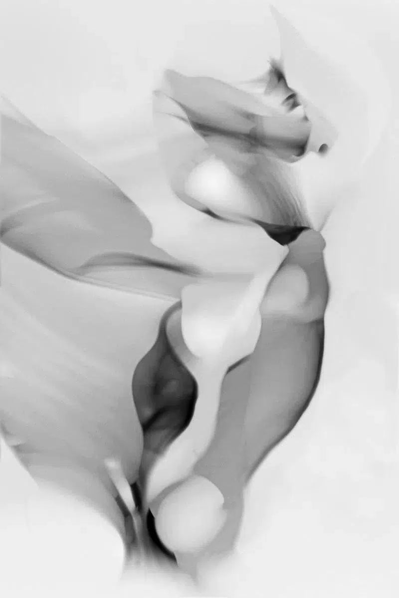 Light Imitating Art® :: Hera, by Gillian Lindsay-PurePhoto