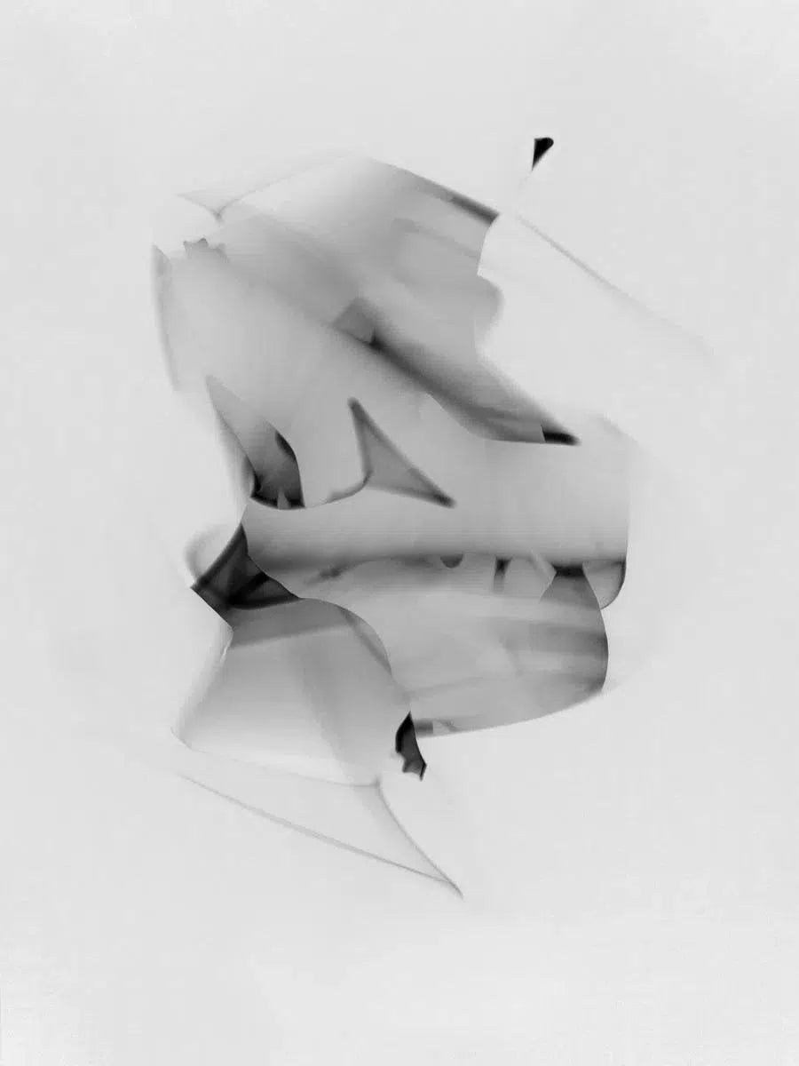 Light Imitating Art® :: Incognito, by Gillian Lindsay-PurePhoto