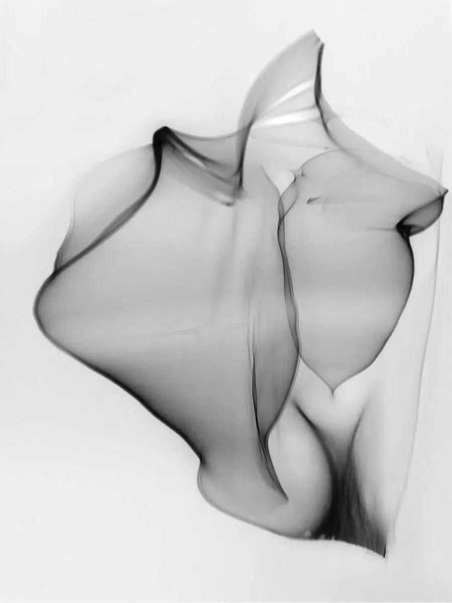 Light Imitating Art® :: Light Forms, by Gillian Lindsay-PurePhoto
