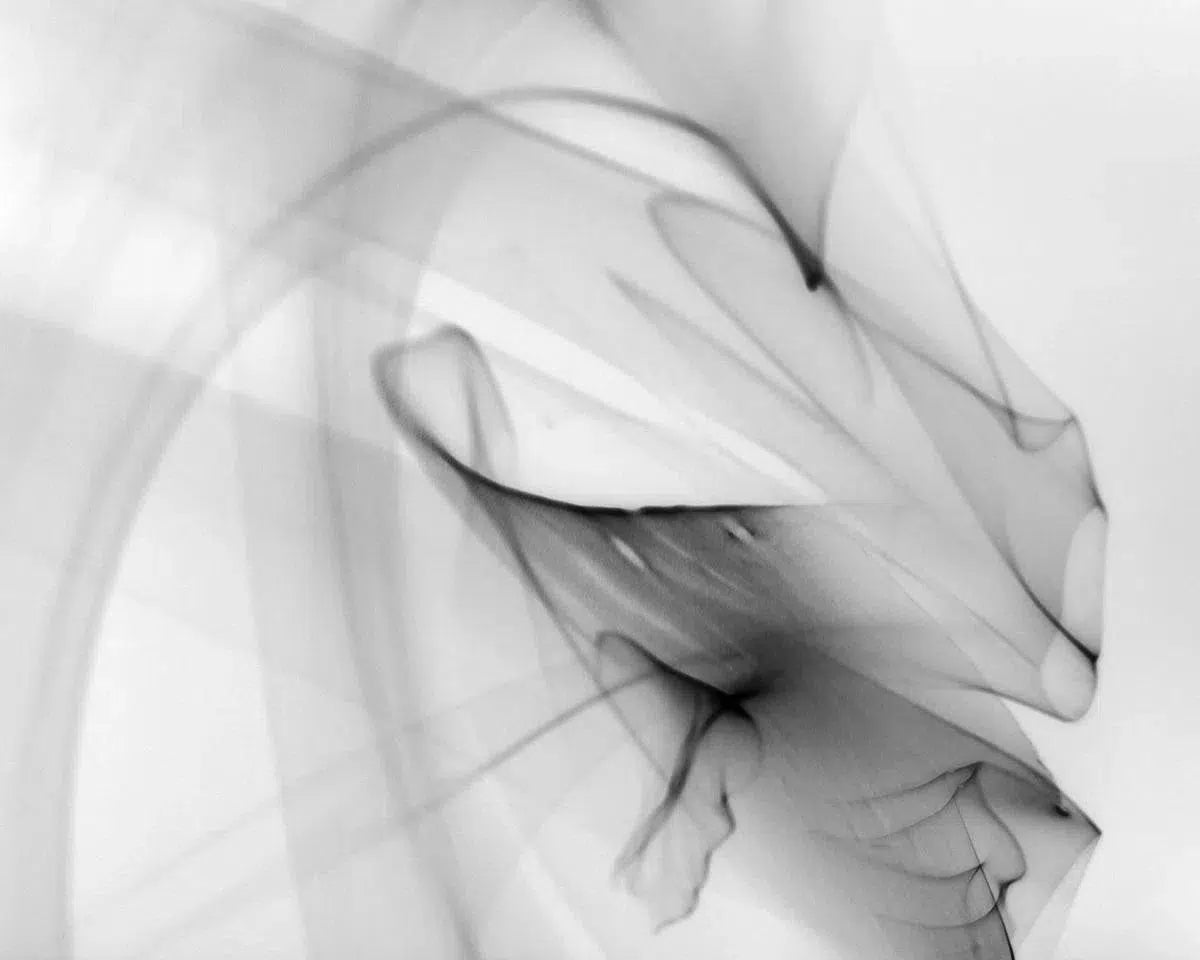 Light Imitating Art® :: Light Play, by Gillian Lindsay-PurePhoto