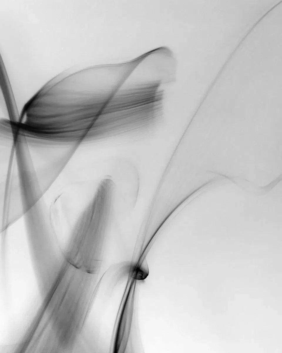 Light Imitating Art® :: Light Spring Breeze, by Gillian Lindsay-PurePhoto