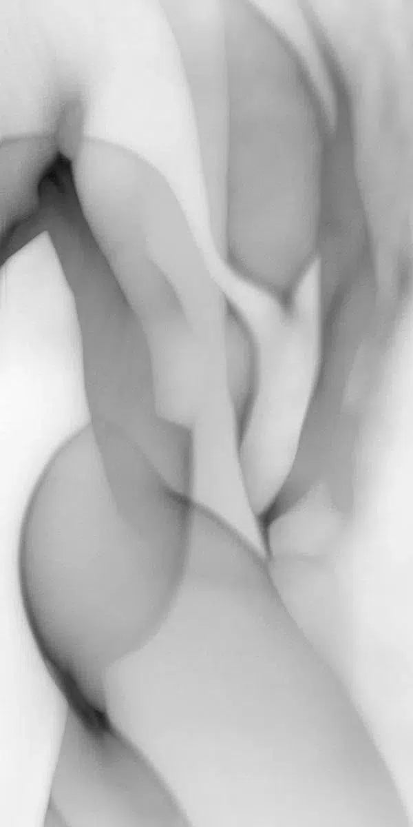 Light Imitating Art® :: Light Stride, by Gillian Lindsay-PurePhoto