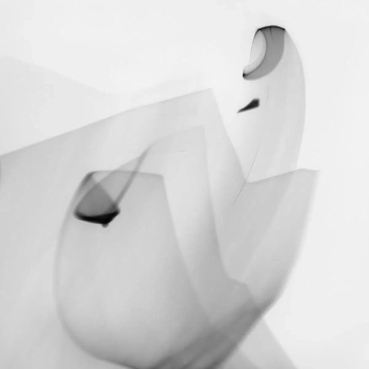 Light Imitating Art® :: Pirouette, by Gillian Lindsay-PurePhoto