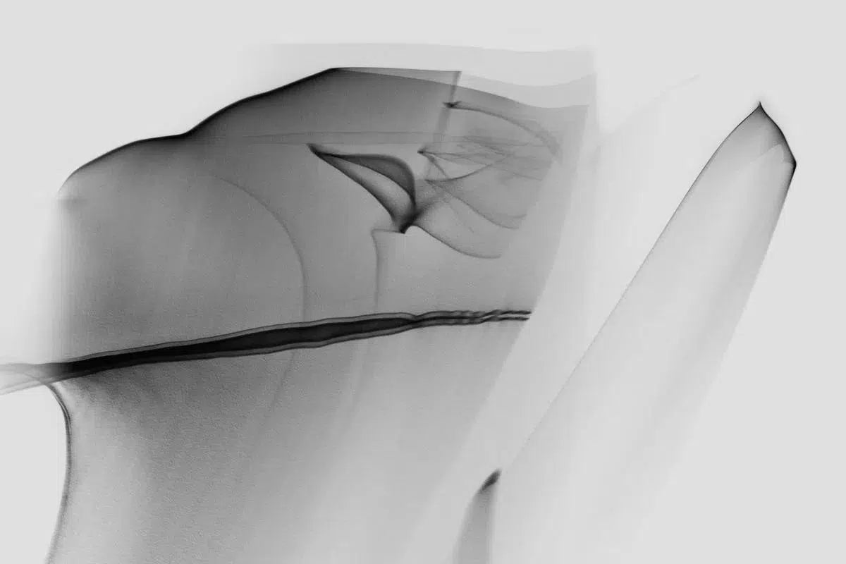 Light Imitating Art® :: Radiance, by Gillian Lindsay-PurePhoto