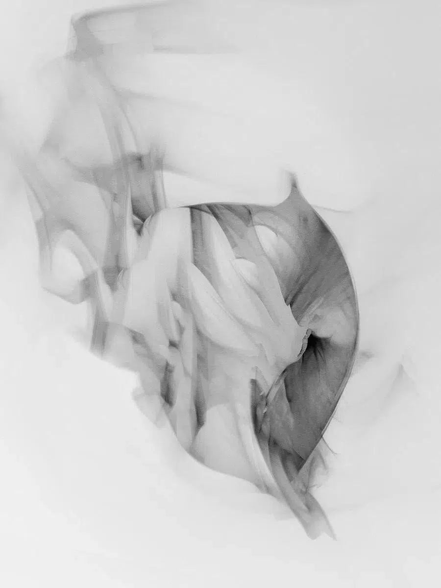 Light Imitating Art® :: Rendezvous I, by Gillian Lindsay-PurePhoto